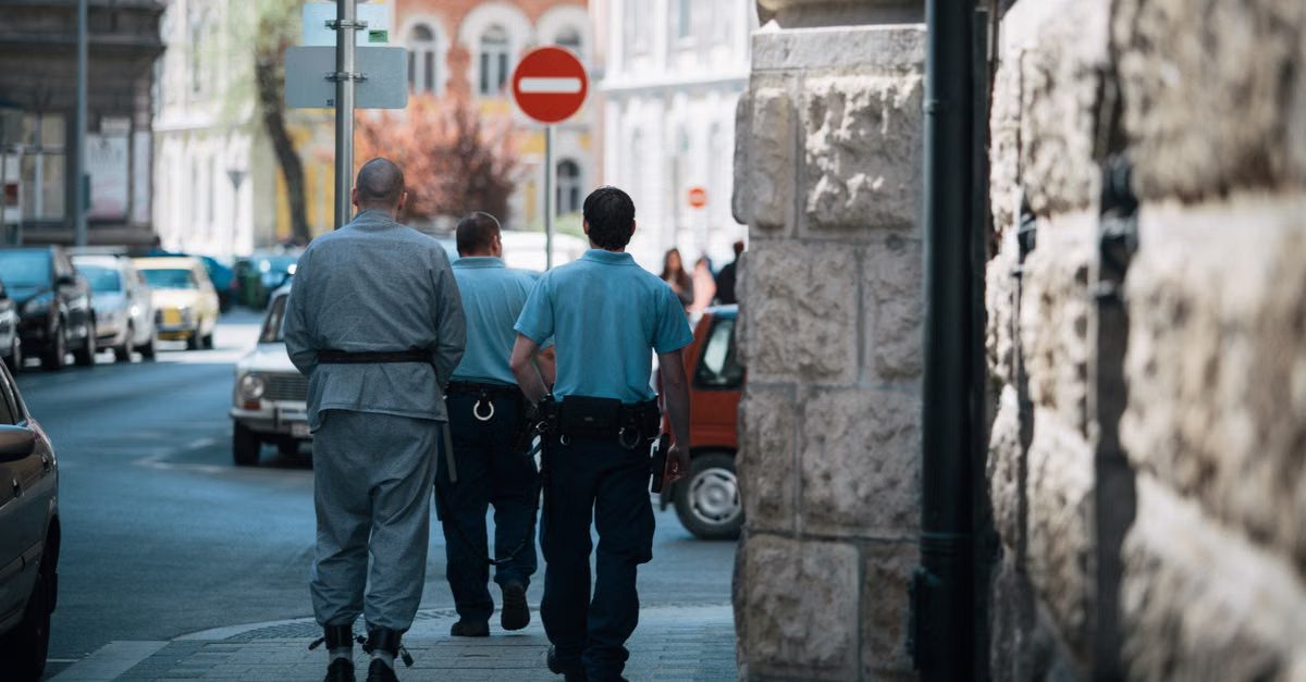 Foto: Bence Szemerey / Pexels