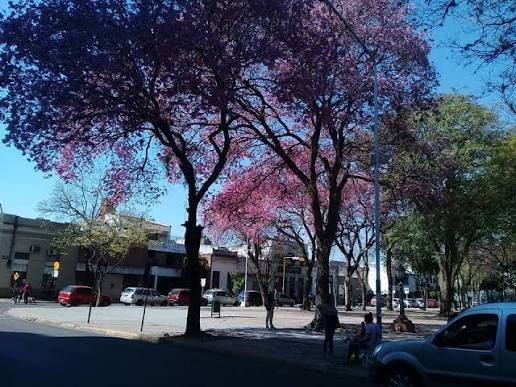 Operativo policial en Plaza Torrent por drogas