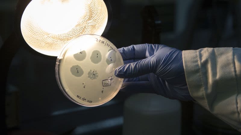 Una IA diseñó virus nuevos que vencen la resistencia a antibióticos