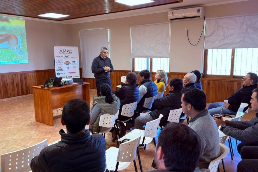 Aserraderos de Virasoro reclaman a la DPEC por tarifas