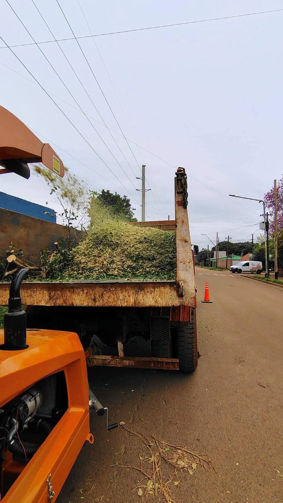 Trabajos de poda y limpieza en espacios verdes municipales