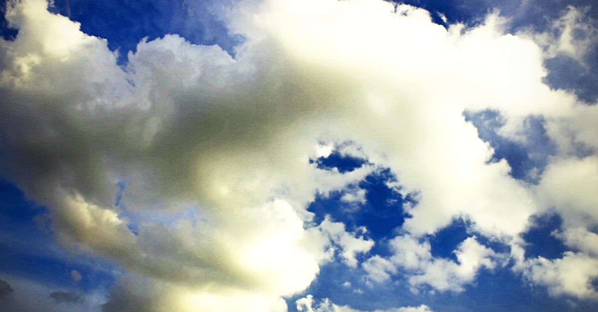 Foto: icon0 com / Pexels