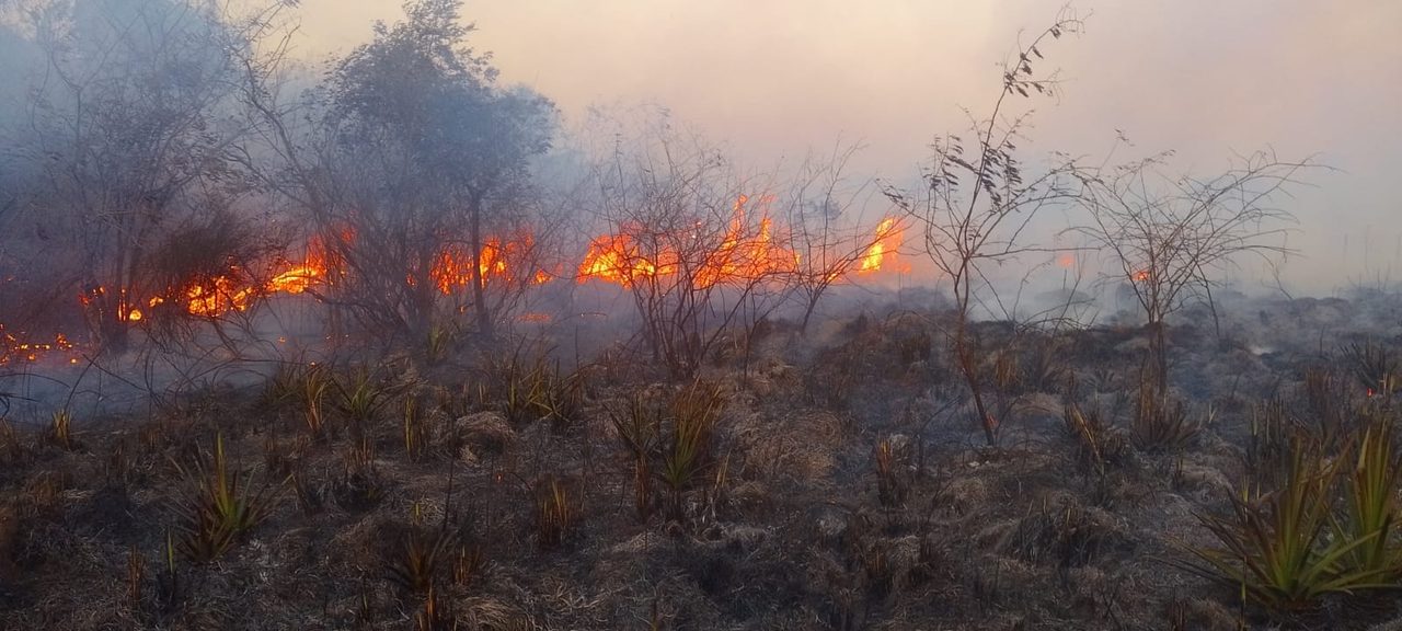Incendios rurales en Santo Tomé amenazaron seis viviendas