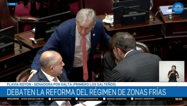 Zonas Frías: los tres senadores de Corrientes votaron a favor