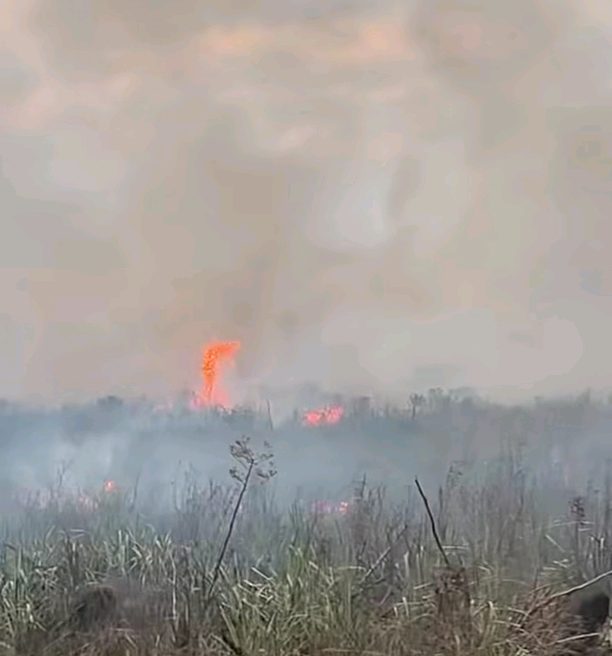 Controlan incendio en los barrios Iberá e Islas Malvinas