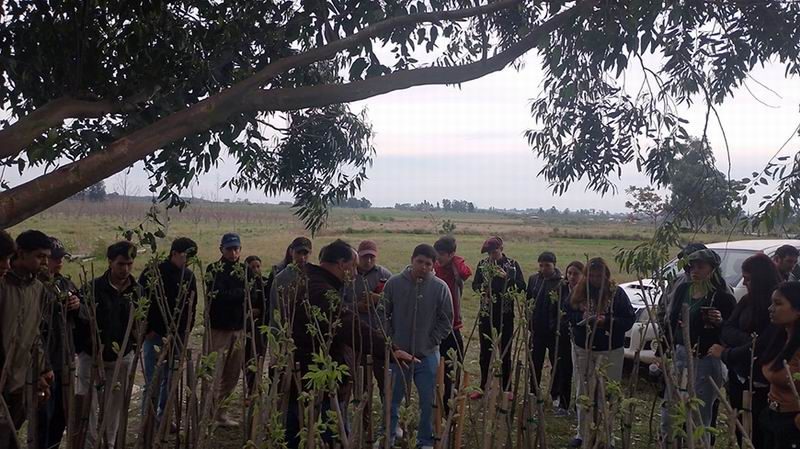 Alumnos agrotécnicos recorrieron una finca de pecán en Curuzú Cuatiá