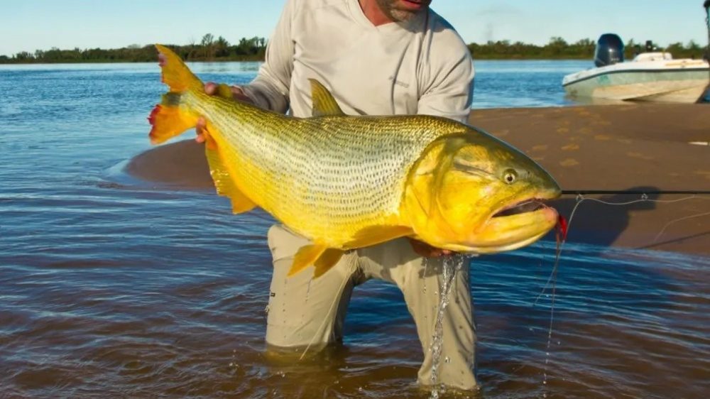 Corrientes levantó la veda extraordinaria sobre el río Paraná