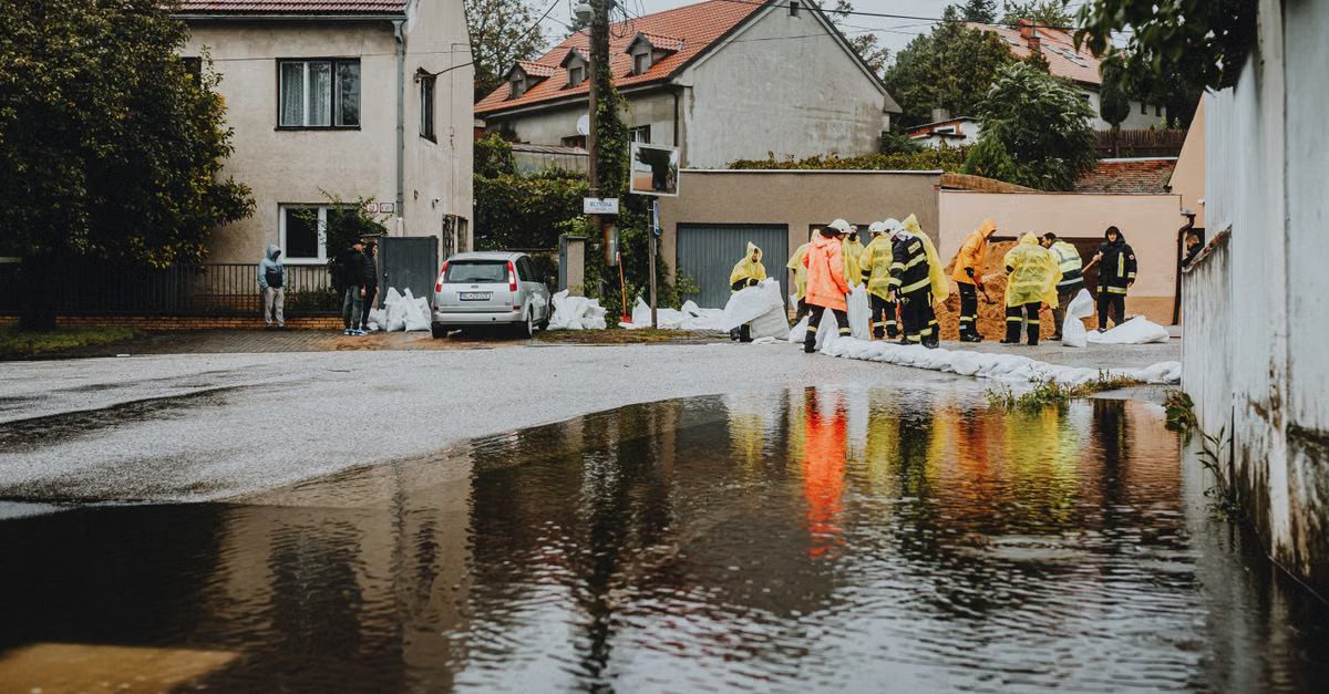 Foto: Helena Jankovičová Kováčová / Pexels