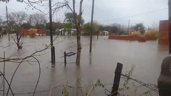 Temporal en Curuzú Cuatiá: anegamientos y árboles caídos