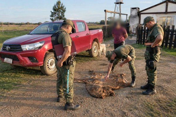 Detienen a un carnicero con casi 200 kilos de carne sin documentación