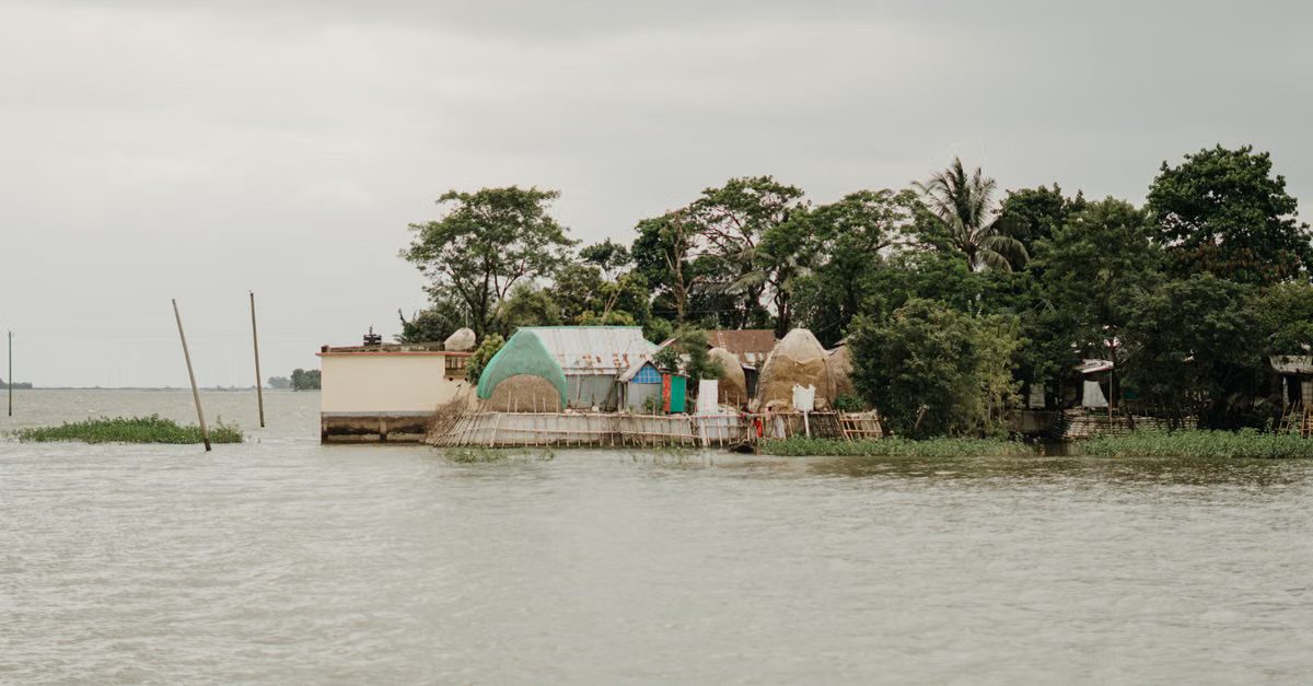 Foto: Sabbir Bhuiyan / Pexels