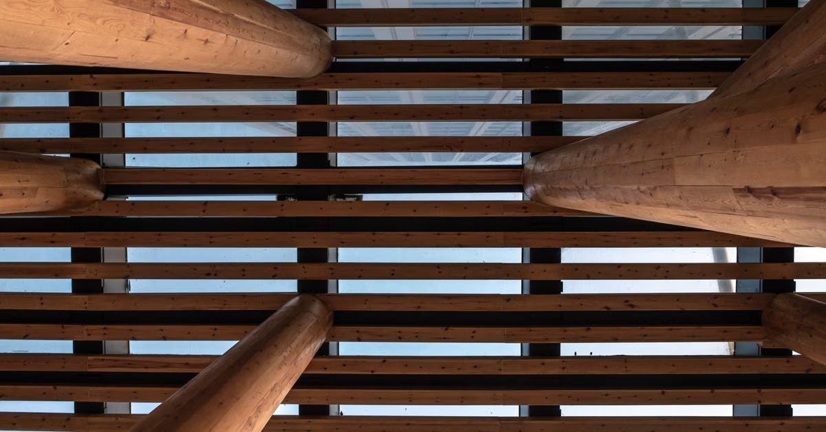 Foto: sanynjez gao / Pexels