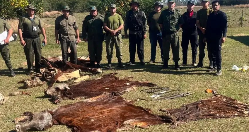 Cayeron dos veces por robo de ganado