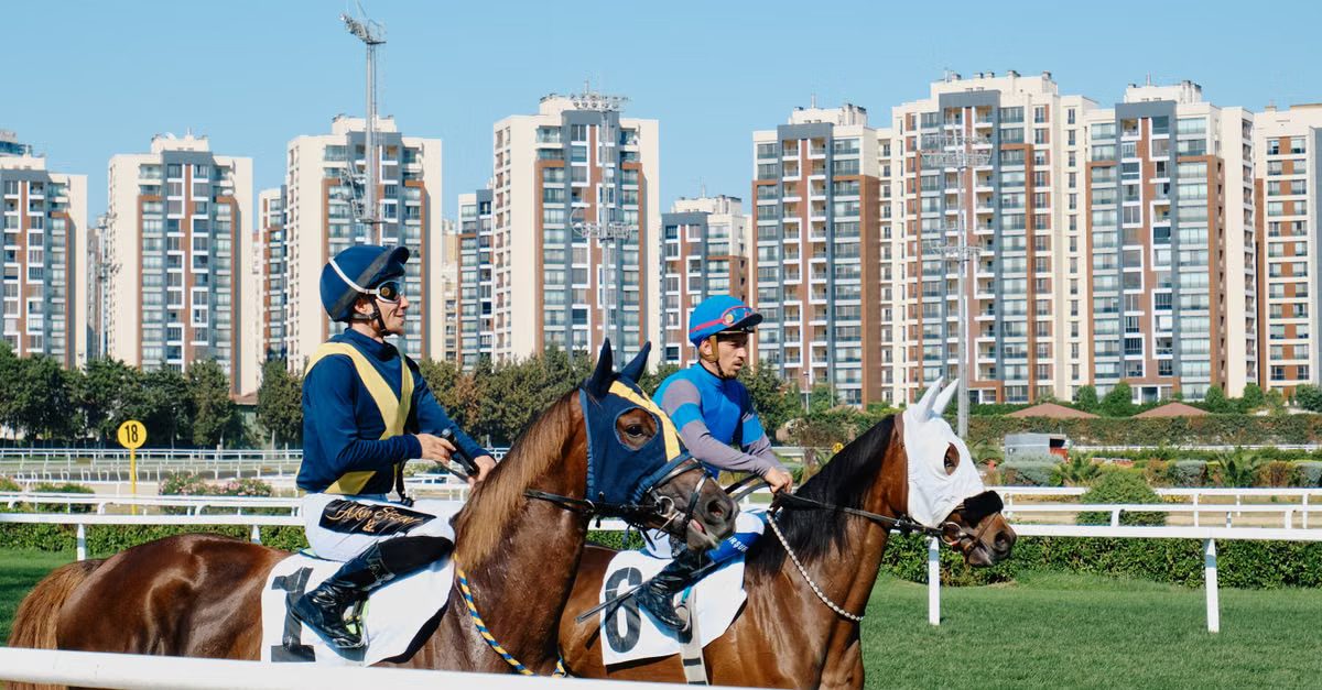Foto: The KRM / Pexels