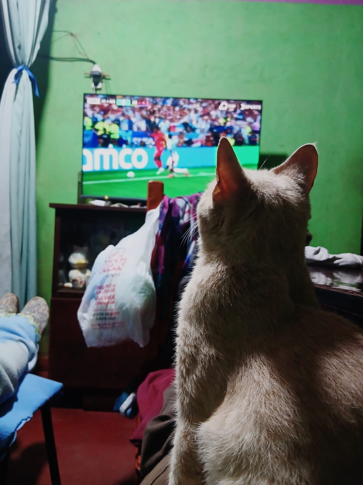 Desde distintas partes de la Argentina acompañando a la Seleccion !!