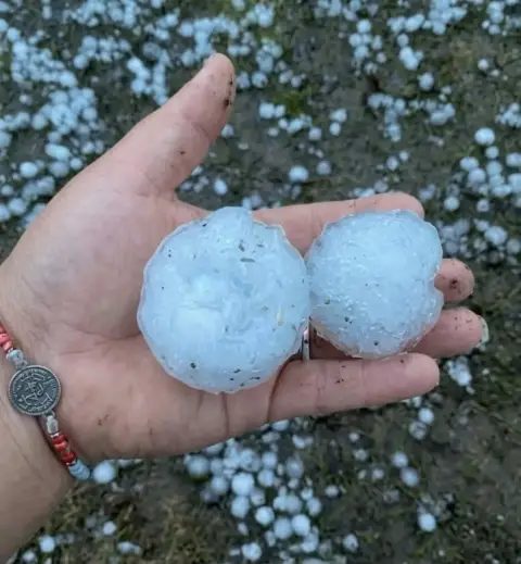 Una granizada mató animales y destrozó campos en el norte de Santa Fe
