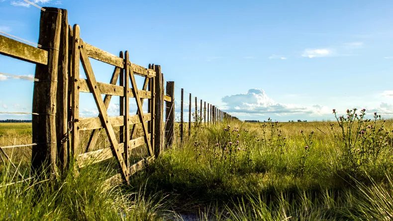 La Policía Rural desmintió que haya 400 mil hectáreas abandonadas en Corrientes
