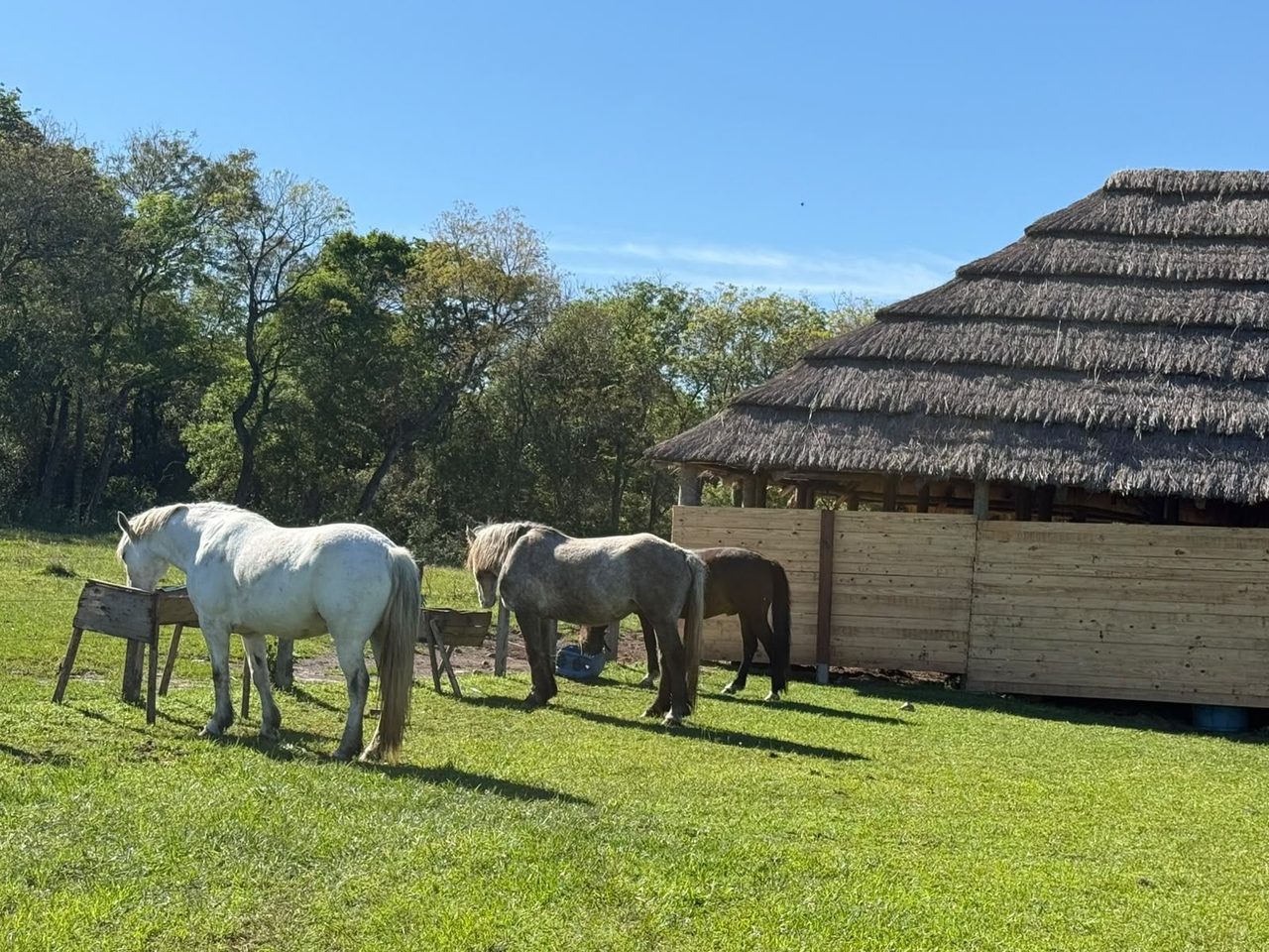 Ituzaingó tendrá un nuevo hipódromo frente al Paraná