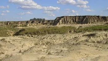 Encuentran en Corrientes un ñandú fósil de 65 mil años