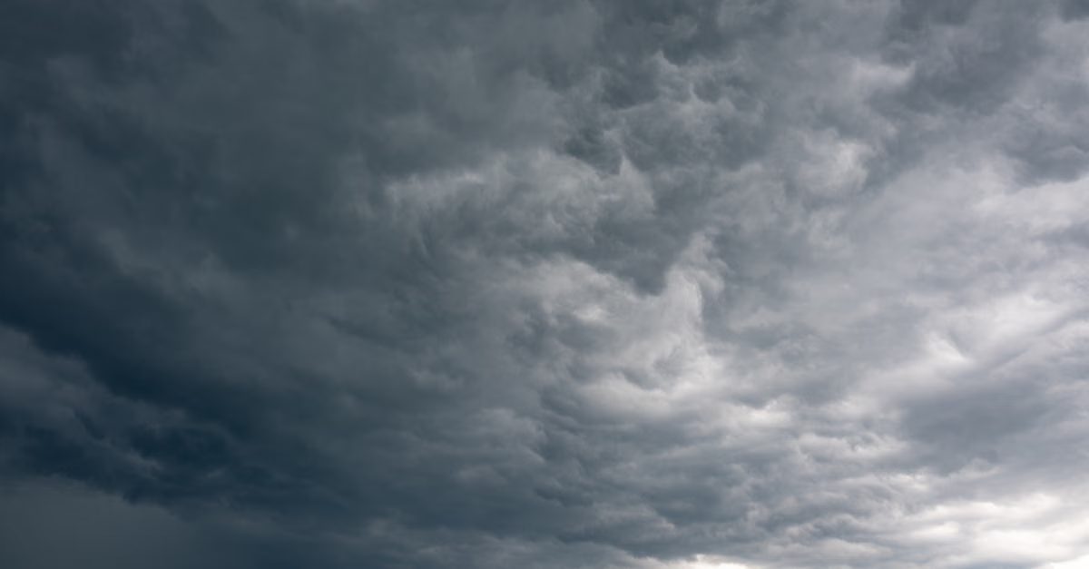 Foto: Vladimir Srajber / Pexels