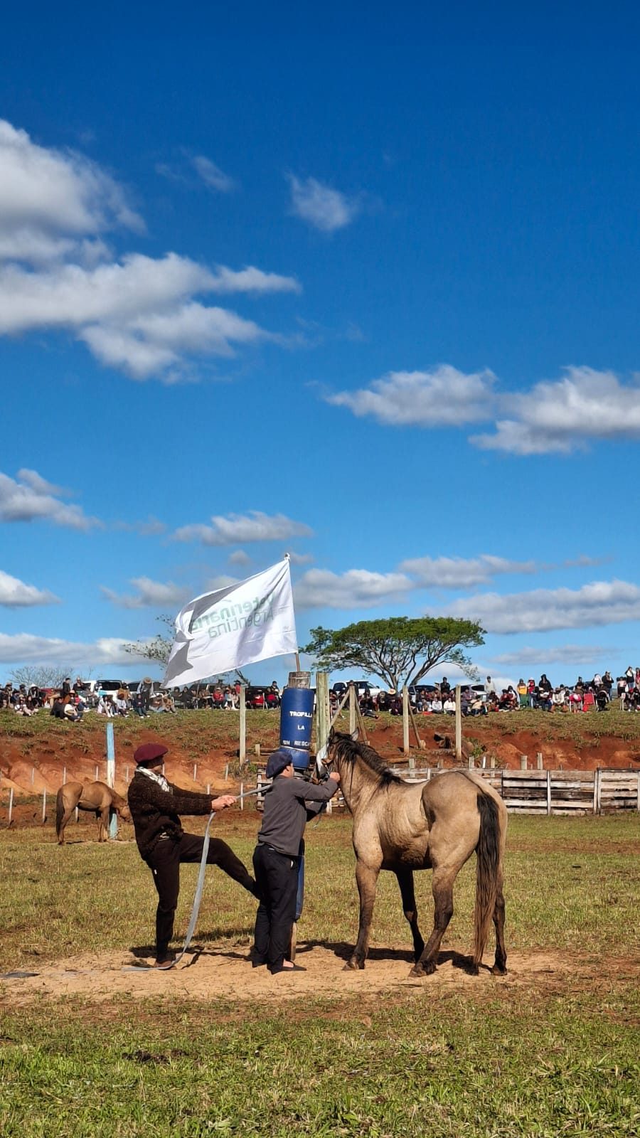 La doma este domingo en la Expo Rural Virasoro 2026