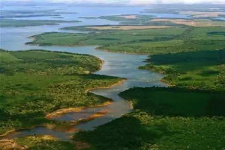 Parques Nacionales y Rewilding renuevan acuerdo por el Iberá
