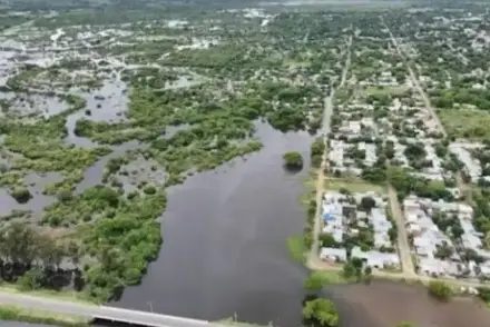 Creciente del Paraná: 200 autoevacuados y mil vacas en riesgo en Empedrado