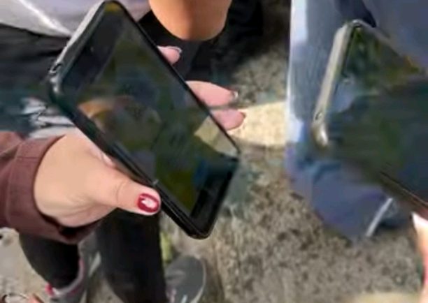Wee!Pass, el sistema que agilizó el ingreso al Taragüí Rock