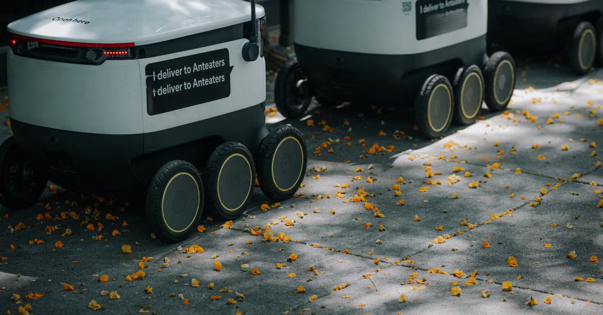 Foto: Kindel Media / Pexels