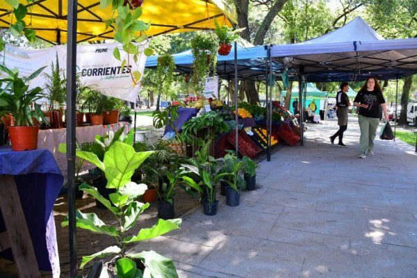 Ferias de la Ciudad: el cronograma hasta el domingo en Corrientes