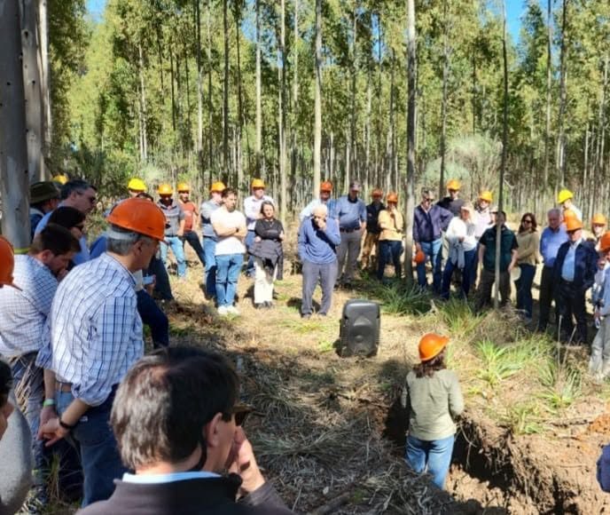 Concordia reúne al sector forestal en su 40° jornada anual