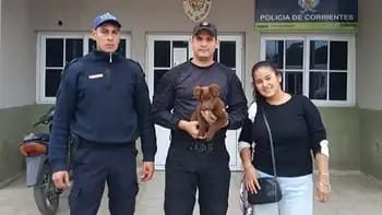 Robaron a un cachorro en Saladas y logró volver con su familia