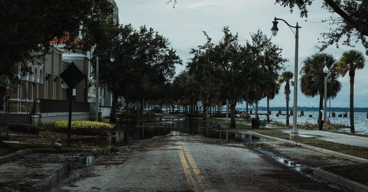 Foto: Connor Scott McManus / Pexels