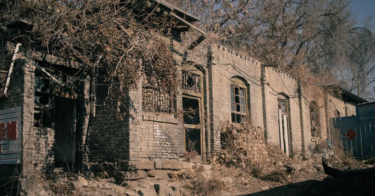 Foto: 生 后 / Pexels