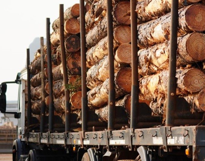 Acon Timber toma un préstamo de USD 30 millones para ampliar su planta en Virasoro