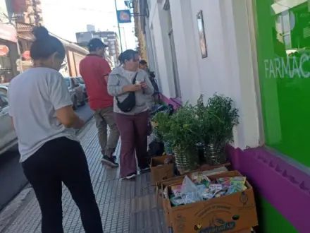 La caña con ruda mantiene su precio pese a la crisis