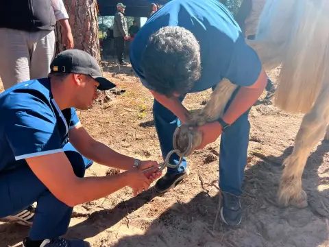 Más de mil atenciones sanitarias en la peregrinación a Itatí