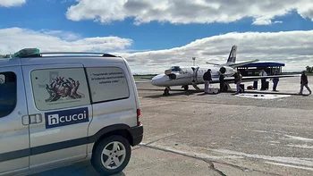 Corrientes lleva 38 operativos de donación de órganos en el año
