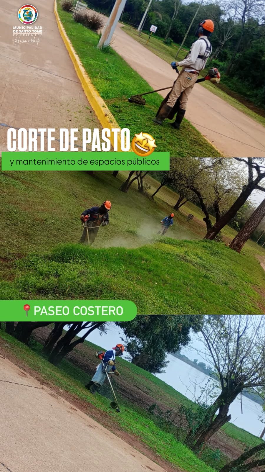 Tareas de corte y mantenimiento de pasto en el Paseo Costero