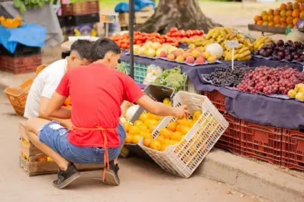 Las Ferias de la Ciudad recorren plazas y paseos de Corrientes