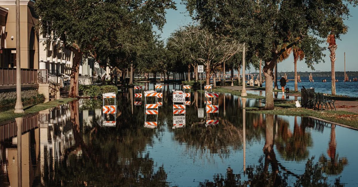 Foto: Connor Scott McManus / Pexels