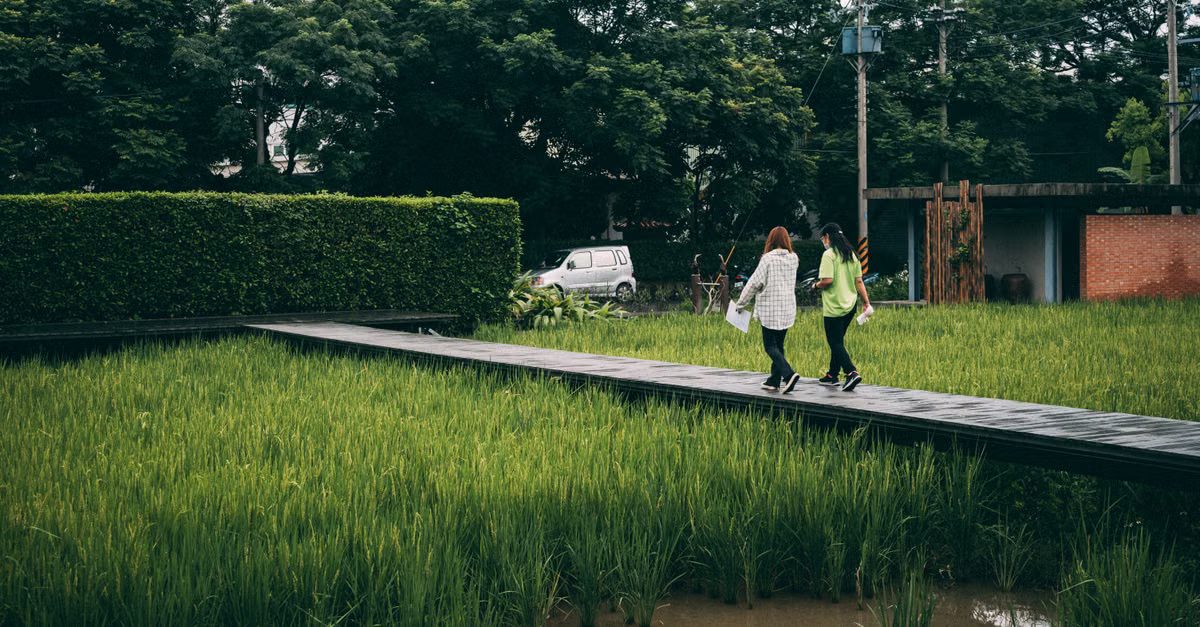 Foto: Luo Chris / Pexels