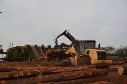 La planta de madera contralaminada producirá a inicios de 2027