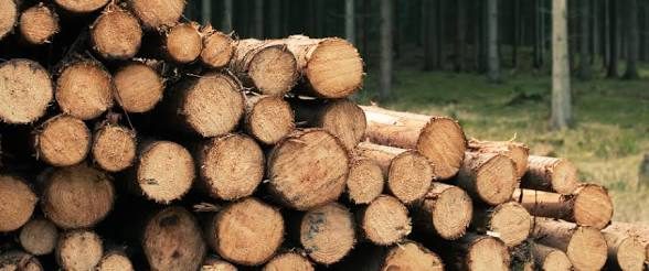Santo Tomé capacita sobre arquitectura sustentable en madera