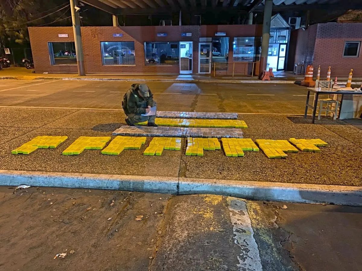 Gendarmería secuestró casi 250 kilos de marihuana en Iguazú
