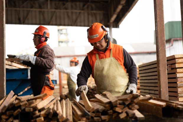 Zeni triplica su capacidad en la planta maderera de Esquina