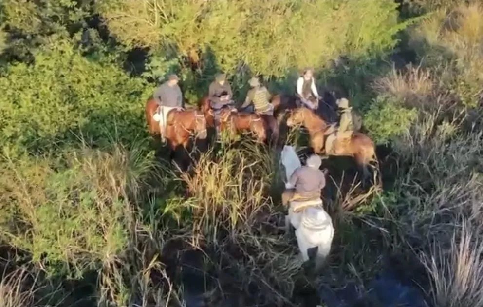 Con drones, la policía halló un campamento de cazadores furtivos