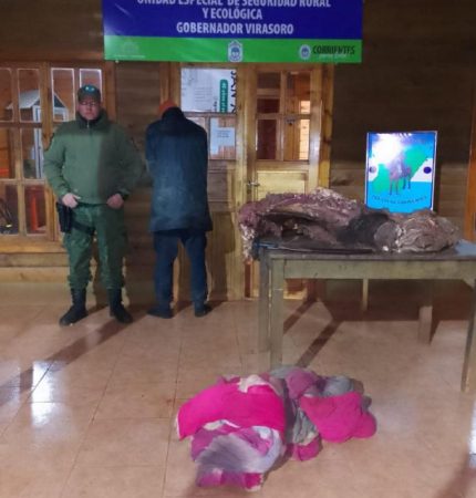 Virasoro: atraparon a un cuatrero con medio novillo robado