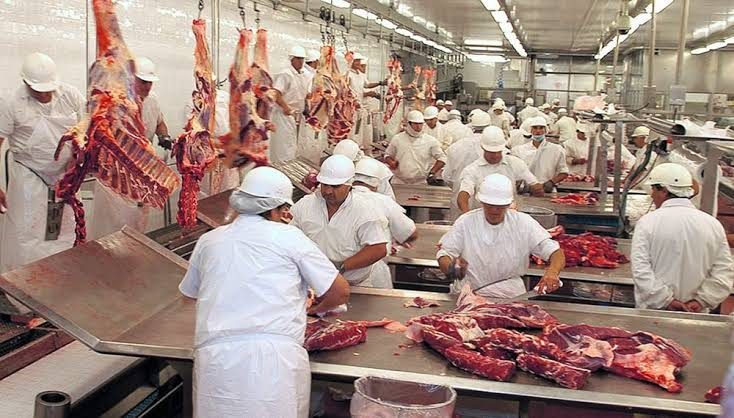 Piden fortalecer la recría antes de instalar frigoríficos