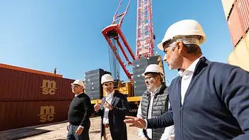 Corrientes: llega la primera planta de madera CLT del país